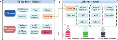 RAPID: A Rep-Seq Dataset Analysis Platform With an Integrated Antibody Database